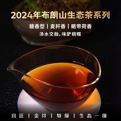 2024年春布朗山生态茶 普洱熟茶散茶 500克/份宫廷金芽特级一级2斤