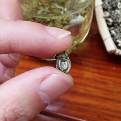 批发 2024云南明前碧螺春 新茶叶 散茶 一芽一叶绿茶 产地货源1斤图2