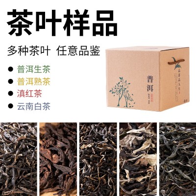 云南普洱茶厂家直发西双版纳班章古树生茶回甘生津散茶袋装批发1包