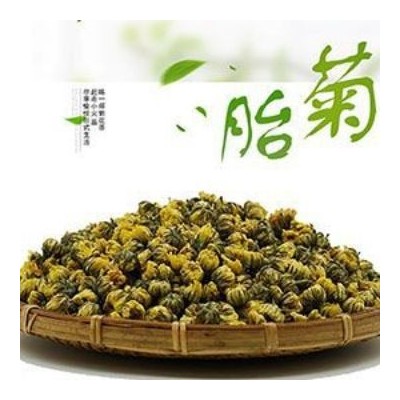 优质桐乡胎菊花茶散装杭白菊花果茶批发菊花胎菊散装厂家直销2件