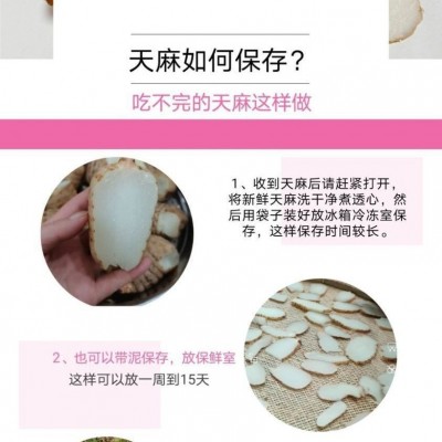 天麻云南昭通小草坝生天麻中药材产地发货新鲜天麻平台一件代发2斤图4