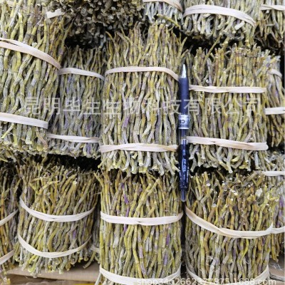云南石斛干条石斛把霍山石斛 石斛枫斗 铁皮石斛产地批发一手货源1斤图2