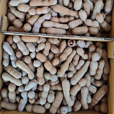 云南特产甜角甜酸角罗望子 酸角 果脯休闲零食批发一件代发3斤图3