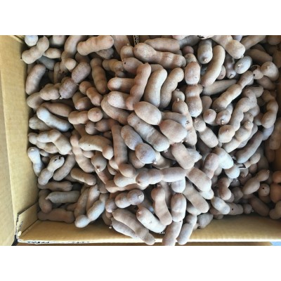 酸甜角批发整箱20斤产地批发量大有优惠电商产地直供大果 品质保证1箱图5