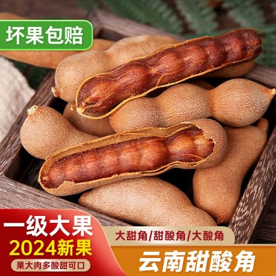 酸角云南特产新鲜野生大甜角孕妇零食水果豆角南酸枣罗望子甜酸角1g