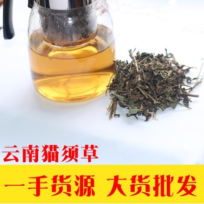 批发云南西双版纳野猫须草肾茶化石草茶猫须公生中药材2件