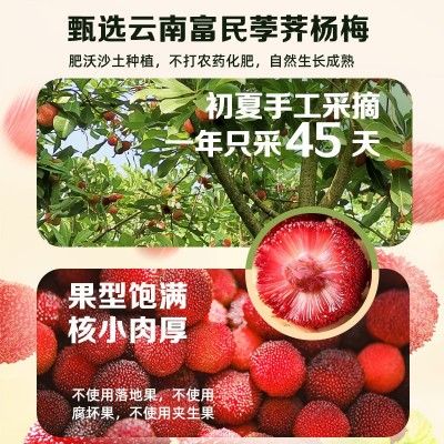 云南特产德和杨梅罐头糖水新鲜水果罐头礼盒休闲食品零食聚 餐罐头 1盒图2
