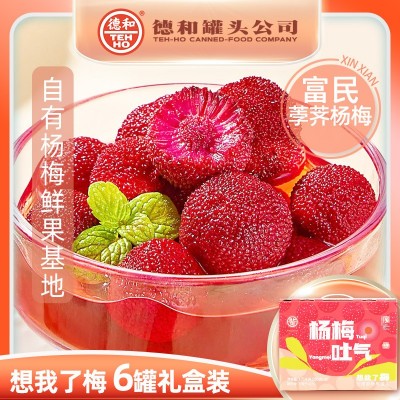 云南特产德和杨梅罐头糖水新鲜水果罐头礼盒休闲食品零食聚 餐罐头 1盒