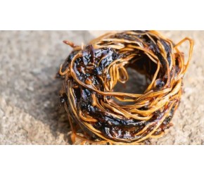 云南烧烤的味觉标签：腌菜膏，琥珀色看着就诱人