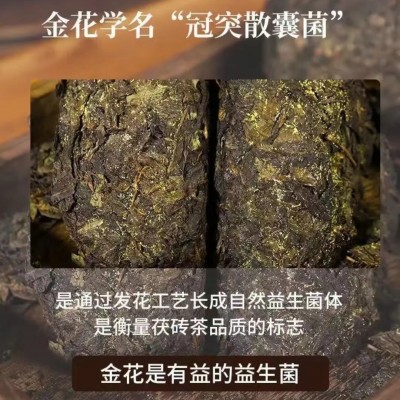 湖南安化黑茶高手传承手制金花茯砖220克小金茯 厂货批零产地直发 1片图3