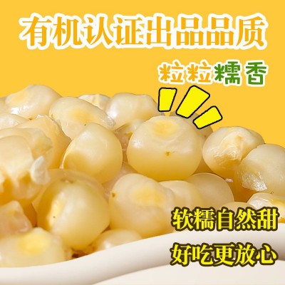 云南西双版纳正宗香糯手指玉米拇指玉米小玉米棒新鲜真空宝宝辅食2斤图2