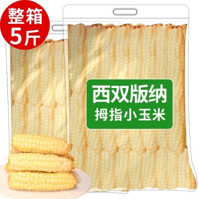 云南西双版纳正宗香糯手指玉米拇指玉米小玉米棒新鲜真空宝宝辅食2斤图5