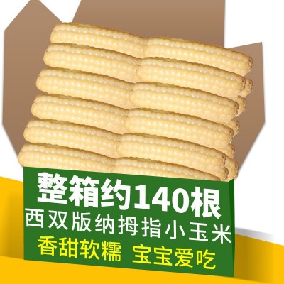 云南西双版纳正宗香糯手指玉米拇指玉米小玉米棒新鲜真空宝宝辅食2斤