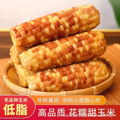 云南特产西双版纳香糯小玉米新鲜真空装甜糯小花糯玉米即食早餐包2斤图2
