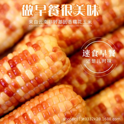 云南特产西双版纳香糯小玉米新鲜真空装甜糯小花糯玉米即食早餐包2斤图5