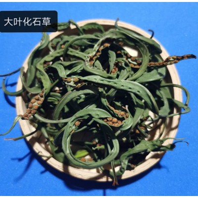 化石草 肾精茶 结石茶肾精草中药材农产品老拗去石草排化石草2件图3