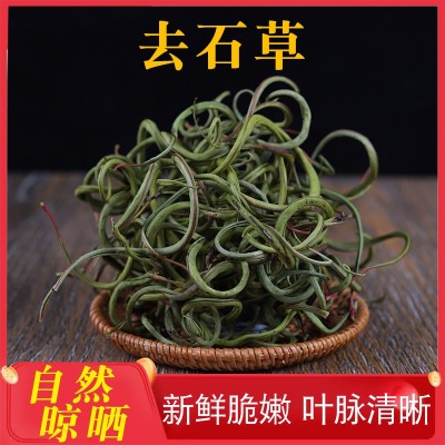化石草 肾精茶 结石茶肾精草中药材农产品老拗去石草排化石草2件图5