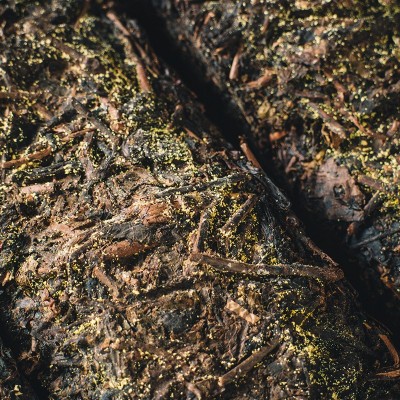 黑茶批发 黑茶湖南安化黑茶金花茯砖茶天尖茯砖1公斤陈年茶叶 1盒图3