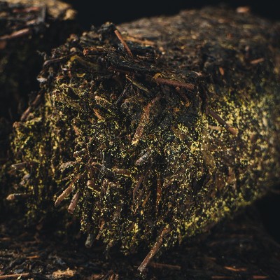 黑茶批发 黑茶湖南安化黑茶金花茯砖茶天尖茯砖1公斤陈年茶叶 1盒图4