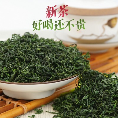 2024新茶 高山云雾绿茶龙井43号香茶 散装茶叶批发浓香日照500g 1斤