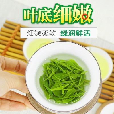 2024新茶 高山云雾绿茶龙井43号香茶 散装茶叶批发浓香日照500g 1斤图4
