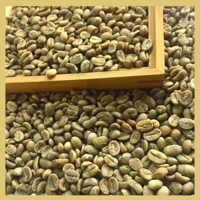 云南小粒咖啡生豆一级豆水洗16-18目阿拉比卡新产季60kg/袋批发豆1kg图5