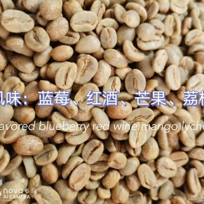 新产季云南咖啡生豆AA级水洗/日晒 普洱原产区咖啡豆商用拼配推荐1kg