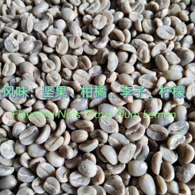 新产季云南咖啡生豆AA级水洗/日晒 普洱原产区咖啡豆商用拼配推荐1kg图4