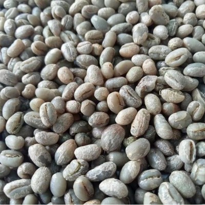 咖啡生豆新产季云南阿拉比卡AA级卡蒂姆圆豆 精品黑珍珠 水洗处理1袋图5