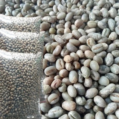 咖啡生豆新产季云南阿拉比卡AA级卡蒂姆圆豆 精品黑珍珠 水洗处理1袋图2