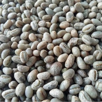 咖啡生豆新产季云南阿拉比卡AA级卡蒂姆圆豆 精品黑珍珠 水洗处理1袋