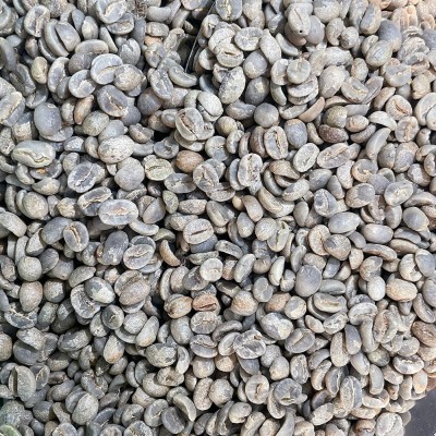 新产季水洗咖啡生豆卡蒂姆豆云南保山AA级精品咖啡商业豆工厂批发1kg图3
