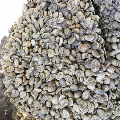 新产季水洗咖啡生豆卡蒂姆豆云南保山AA级精品咖啡商业豆工厂批发1kg图5