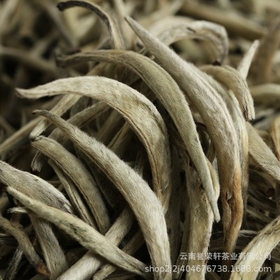 批发 2024云南白茶 大白毫 小芽 月光美人 白毫银针 厂家现货批发2斤