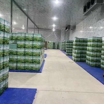 花茶广西横县特级茉莉花茶 茉莉金针 浓香型厂家散直销装电商批发1斤图3