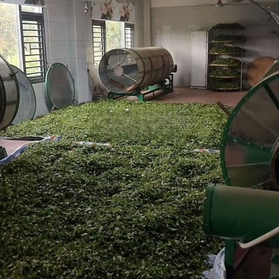 2024乌龙茶凤凰单枞鸭屎香奶茶原料送礼茶散茶茶叶口粮茶厂家批发1斤图2