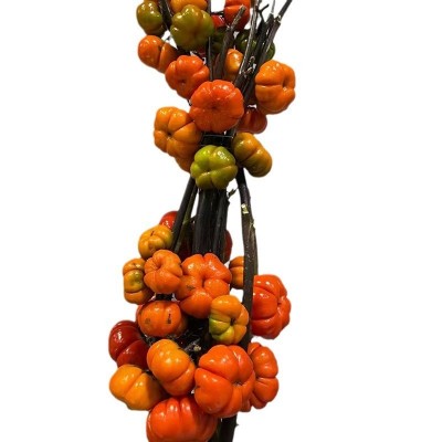 迷你小南瓜斗南鲜花基地直批昆明花卉市场真花插花水养果瓶插花艺2扎图5