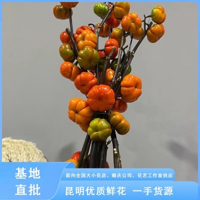 迷你小南瓜斗南鲜花基地直批昆明花卉市场真花插花水养果瓶插花艺2扎