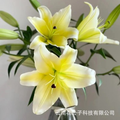 百合鲜花直批昆明基地花店摆摊开业花篮婚礼布置基地批发 10支/扎1扎图4