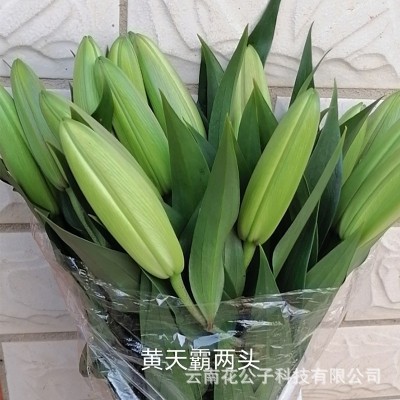 百合鲜花直批昆明基地花店摆摊开业花篮婚礼布置基地批发 10支/扎1扎图2