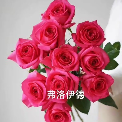 玫瑰批发 云南基地直批花店花束摆摊婚庆沙龙花篮插花1扎图4