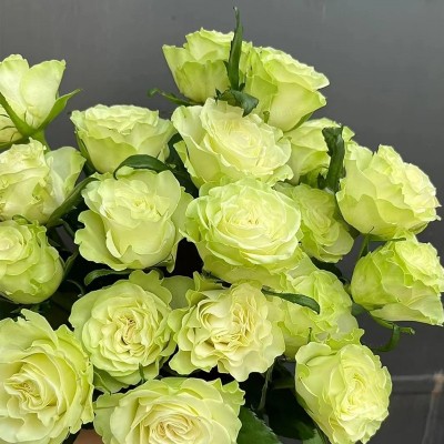玫瑰批发 云南基地直批花店花束摆摊婚庆沙龙花篮插花1扎图3