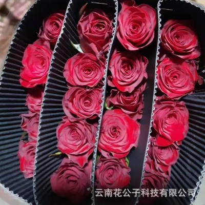 玫瑰批发 云南基地直批花店花束摆摊婚庆沙龙花篮插花1扎图5