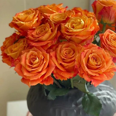 玫瑰批发 云南基地直批花店花束摆摊婚庆沙龙花篮插花1扎图2