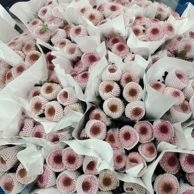 乒乓菊鲜花批发菊花云南鲜花基地直批花店摆摊用花社区团购货源2扎图2
