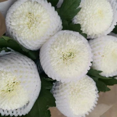 乒乓菊鲜花批发菊花云南鲜花基地直批花店摆摊用花社区团购货源2扎图4
