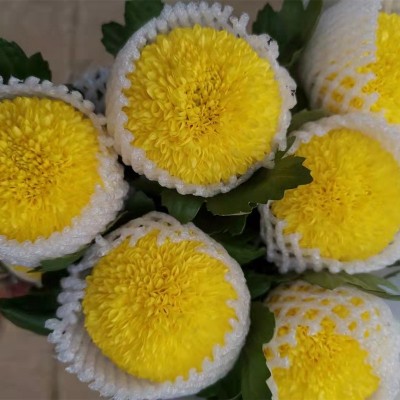 乒乓菊鲜花批发菊花云南鲜花基地直批花店摆摊用花社区团购货源2扎图3