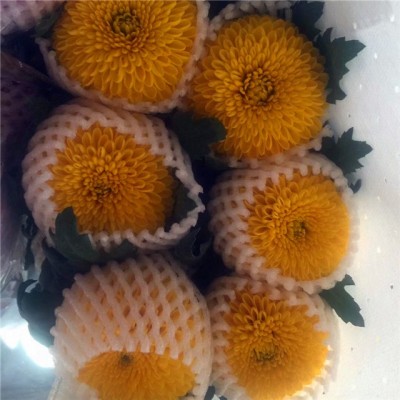 乒乓菊鲜花批发菊花云南鲜花基地直批花店摆摊用花社区团购货源2扎图5
