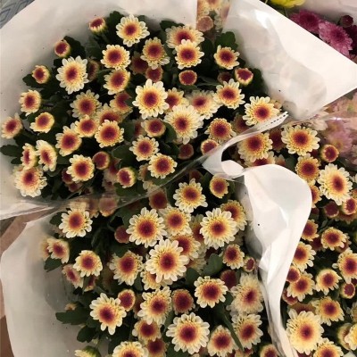 小雏菊鲜花小菊鲜花批发云南昆明基地鲜花直批婚庆布置摆摊用花2扎图4