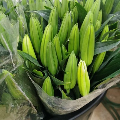 香水百合鲜花批发云南鲜花直批婚庆布置花店摆摊用花社区团购货源2扎图2